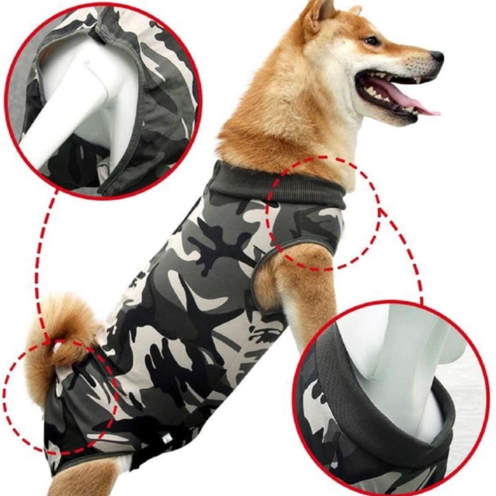 Dog surgery suit
